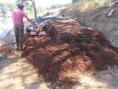 /album/galeria-de-fotos-projecto-taipa-2/prepara%c3%a7%c3%a3o-da-terra-jpg/